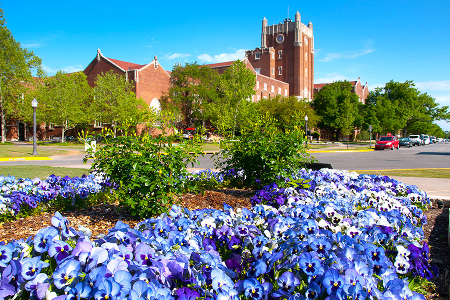 Oklahoma Memorial Union with purple flowers and green foliage.