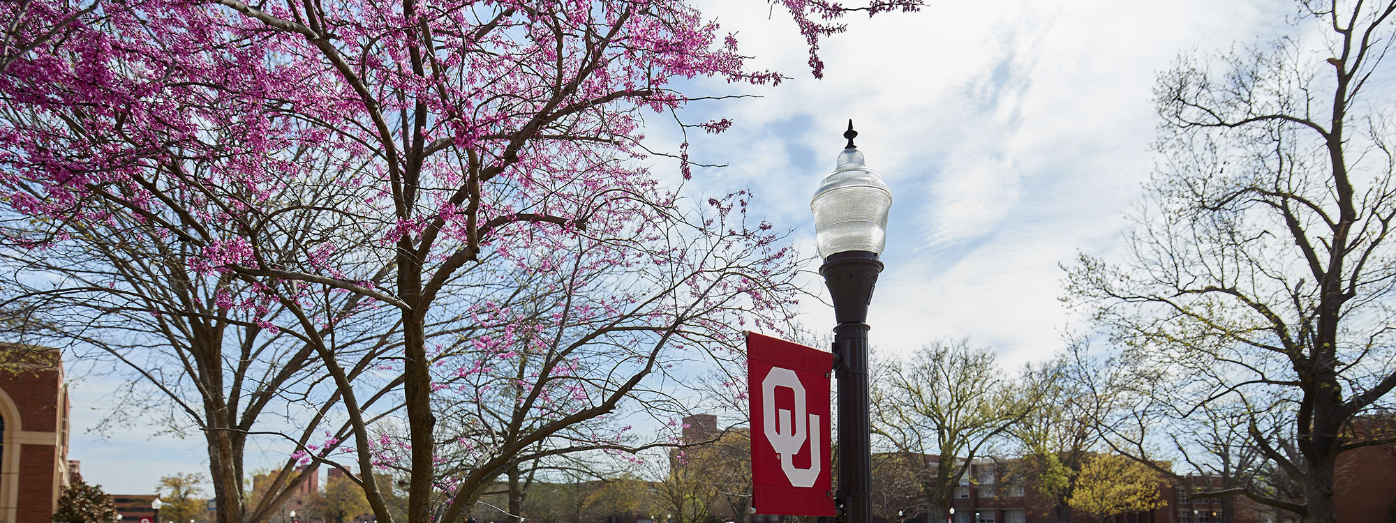 OU Banner on a lightpost with a scenic view of Norman Campus