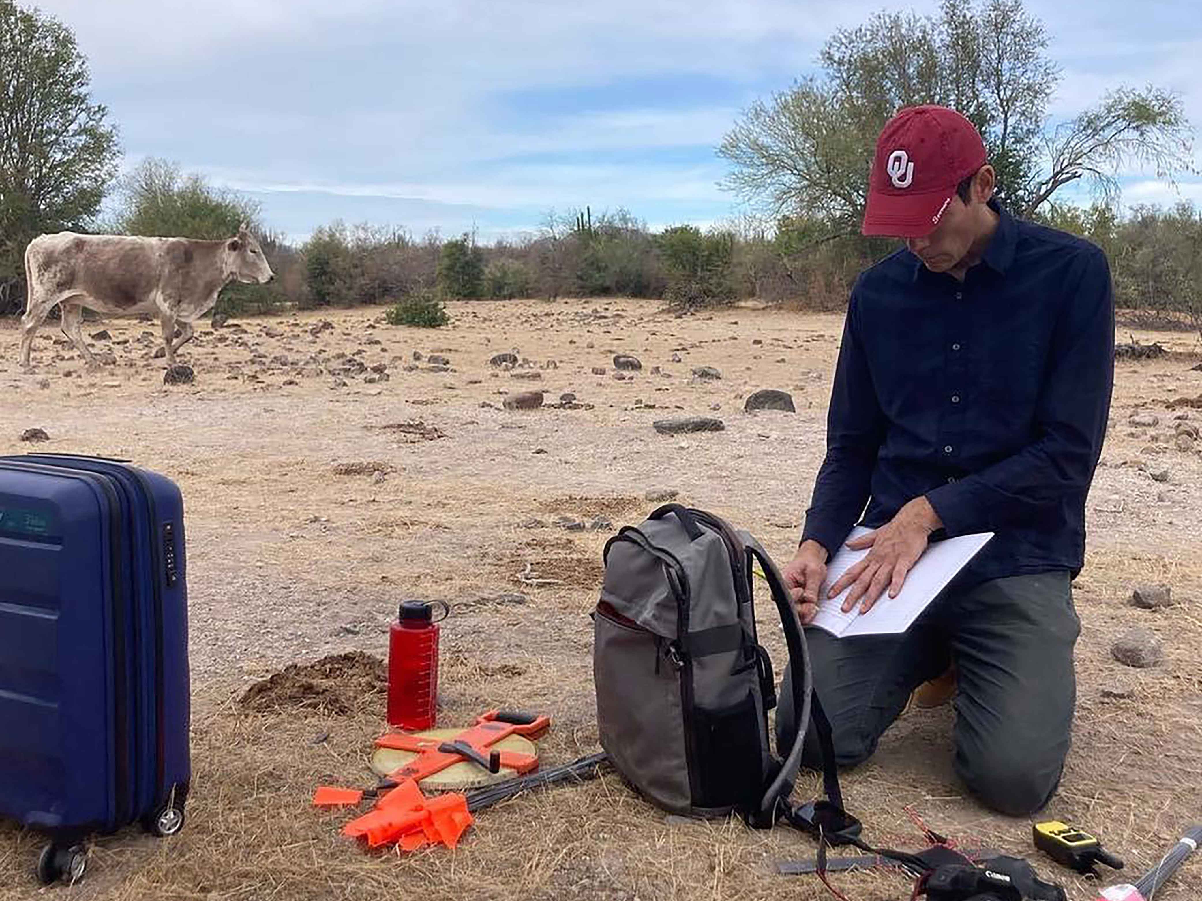 Matt Pailes doing fieldwork in Mexico with cow in background and archaeology tools in foreground. 