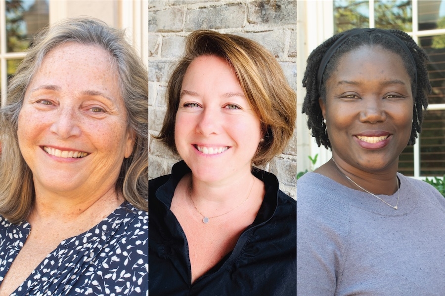 The institute’s co-directors, from left, Kathleen A. Brosnan, Emily Burns and Kalenda Eaton.