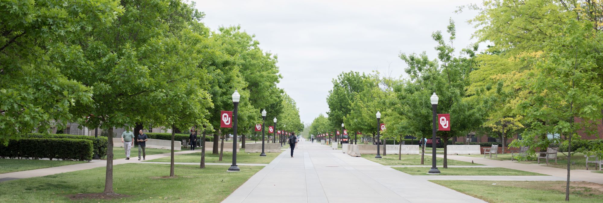 a photo of the OU campus
