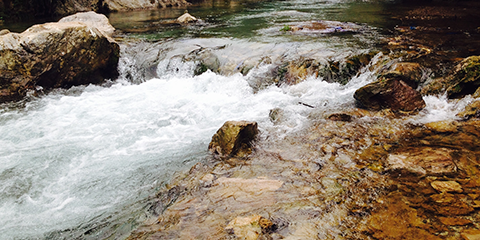 A creek with water rushing over rocks.