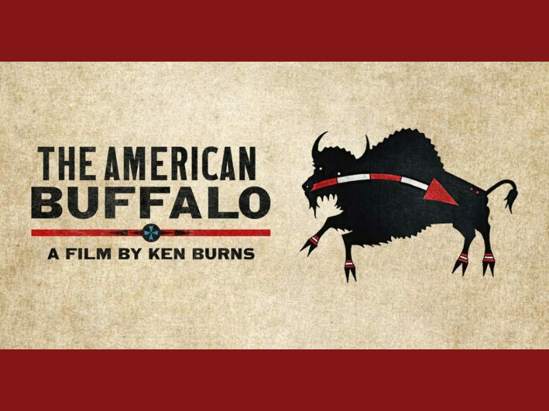 Drawing of a buffalo with the words The American Buffalo