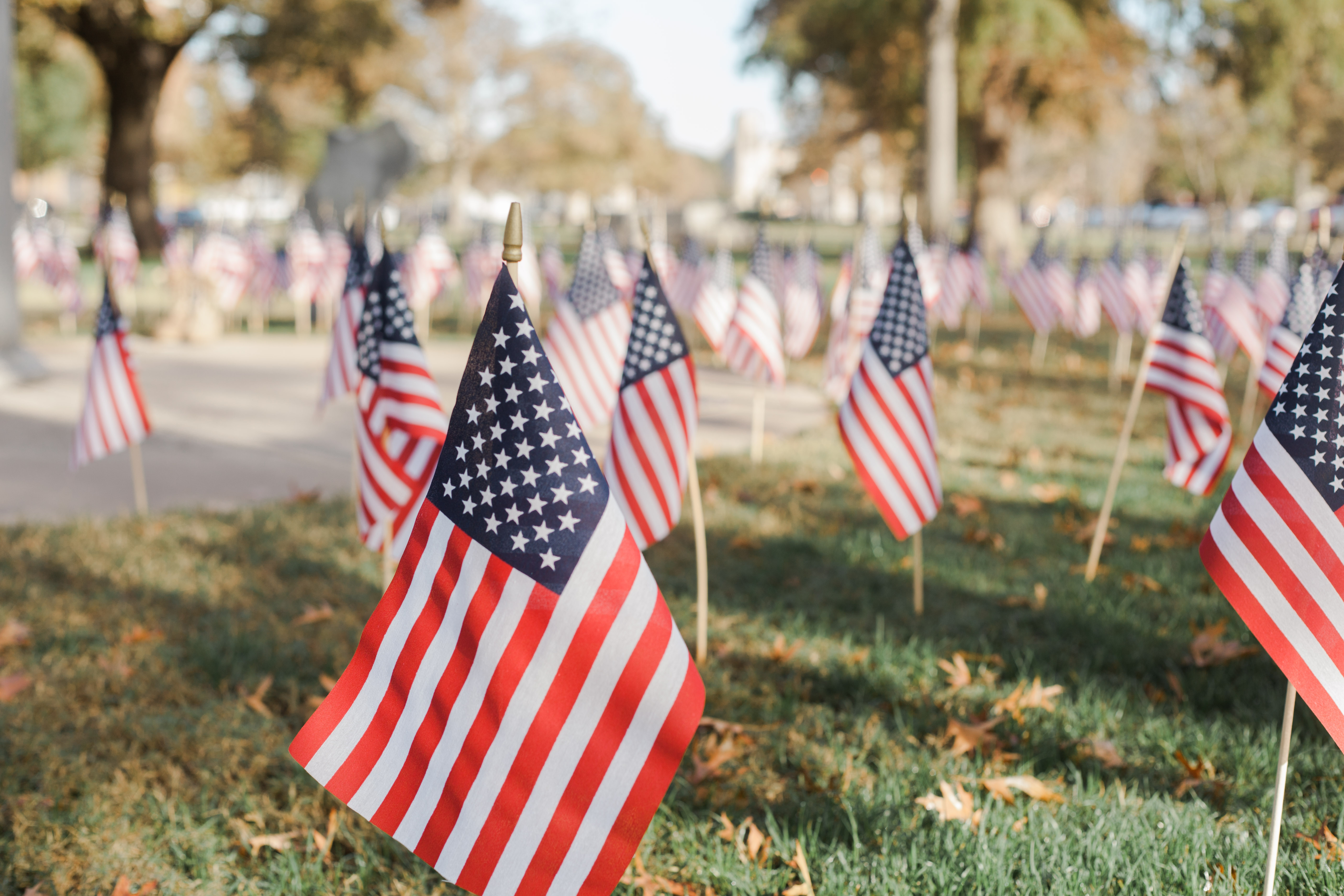 American flags in ground across campus