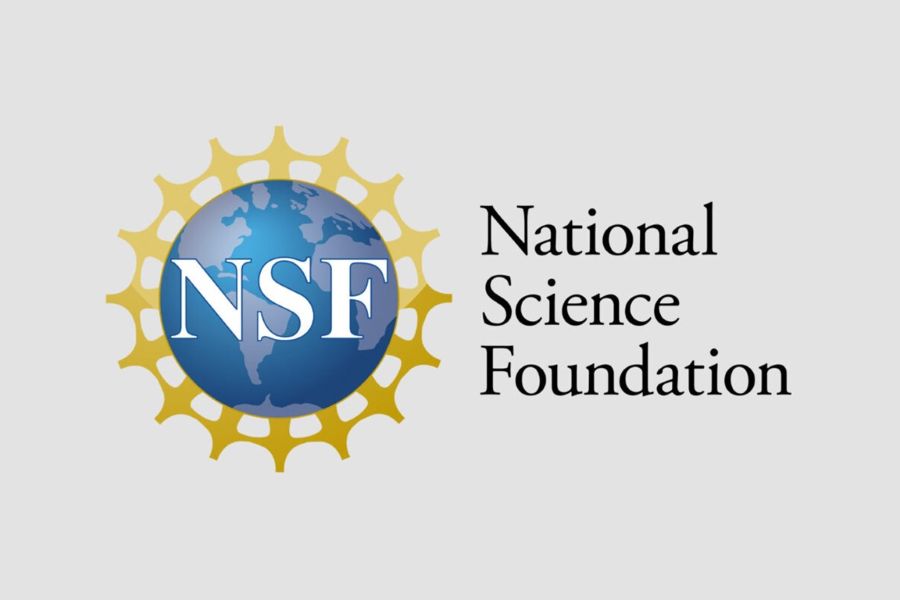 The National Science Foundation logo.