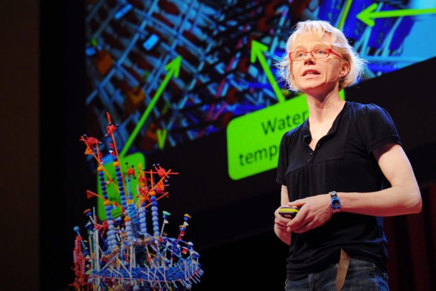 Nathalie Miebach giving a TED Talk.