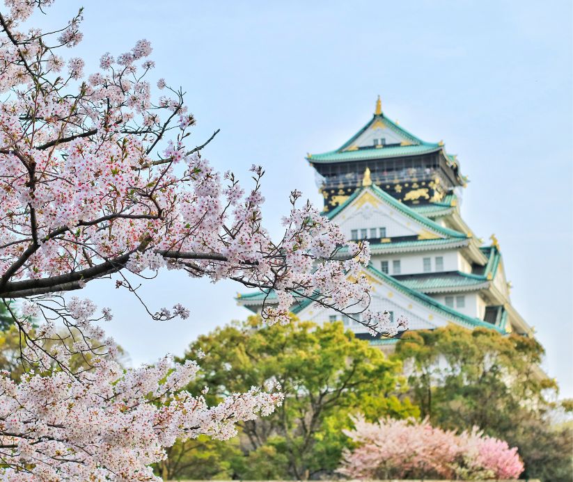 Building in Japan