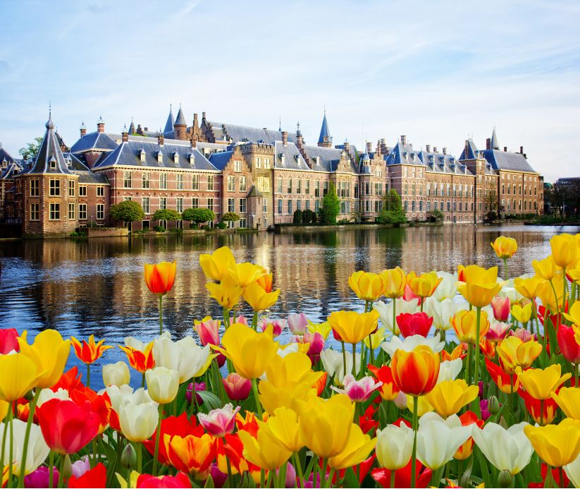 Canal in Netherlands