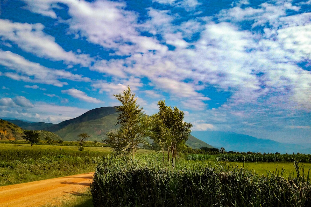 Scenery in Uganda