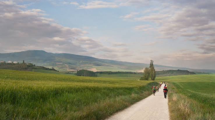 Camino