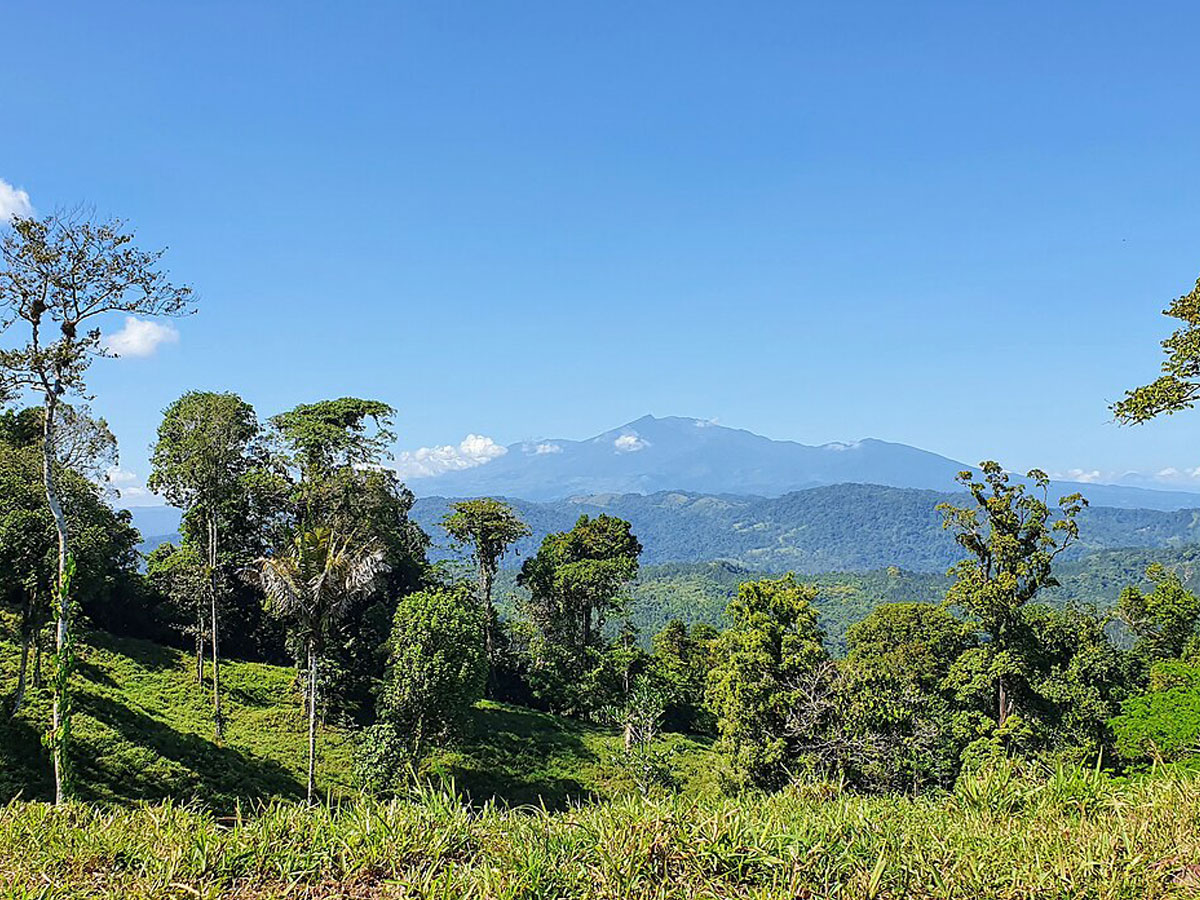 Mountains and greenery of Cotsa Rica.