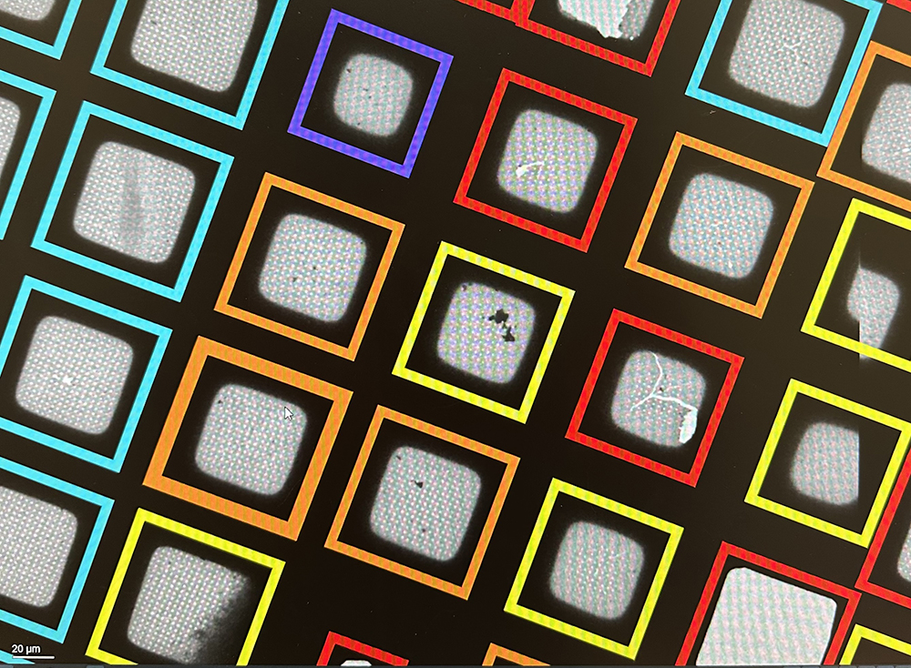 Image of a cryo-TEM grid atlas collected using the Tundra cryo-TEM