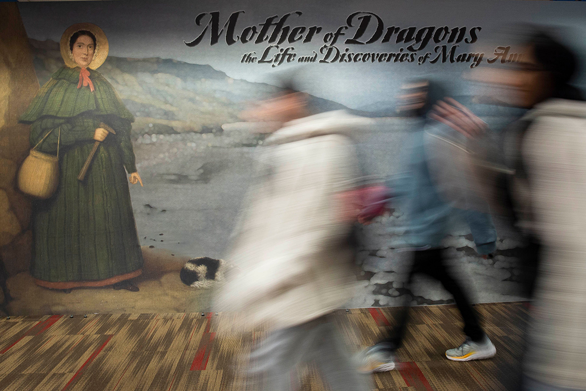 Mother of Dragons: the Life and Discoveries of Mary Anning Exhibit. Exhibit available at The University of Oklahoma.
