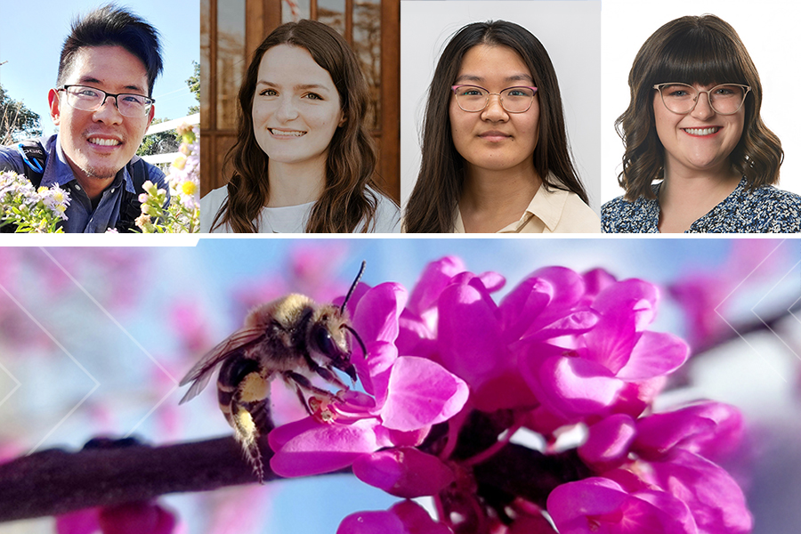 James Hung, Tori Weirzchowski, Abby Ren and Brooke Haden, along with a photo of a bee from the research.