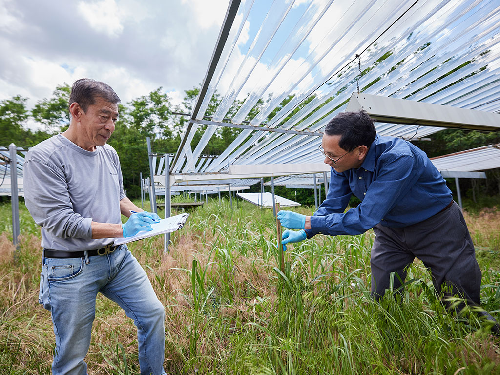 Researchers examine the warming field at Kessler Atmospheric and Ecological Field Station.