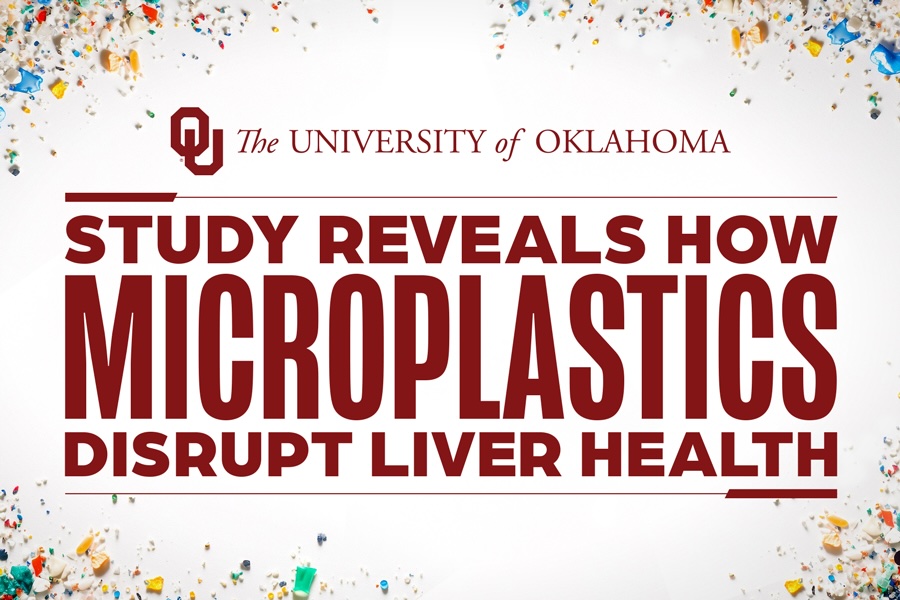 A graphic that reads "study reveals how microplastics disrupt liver health."