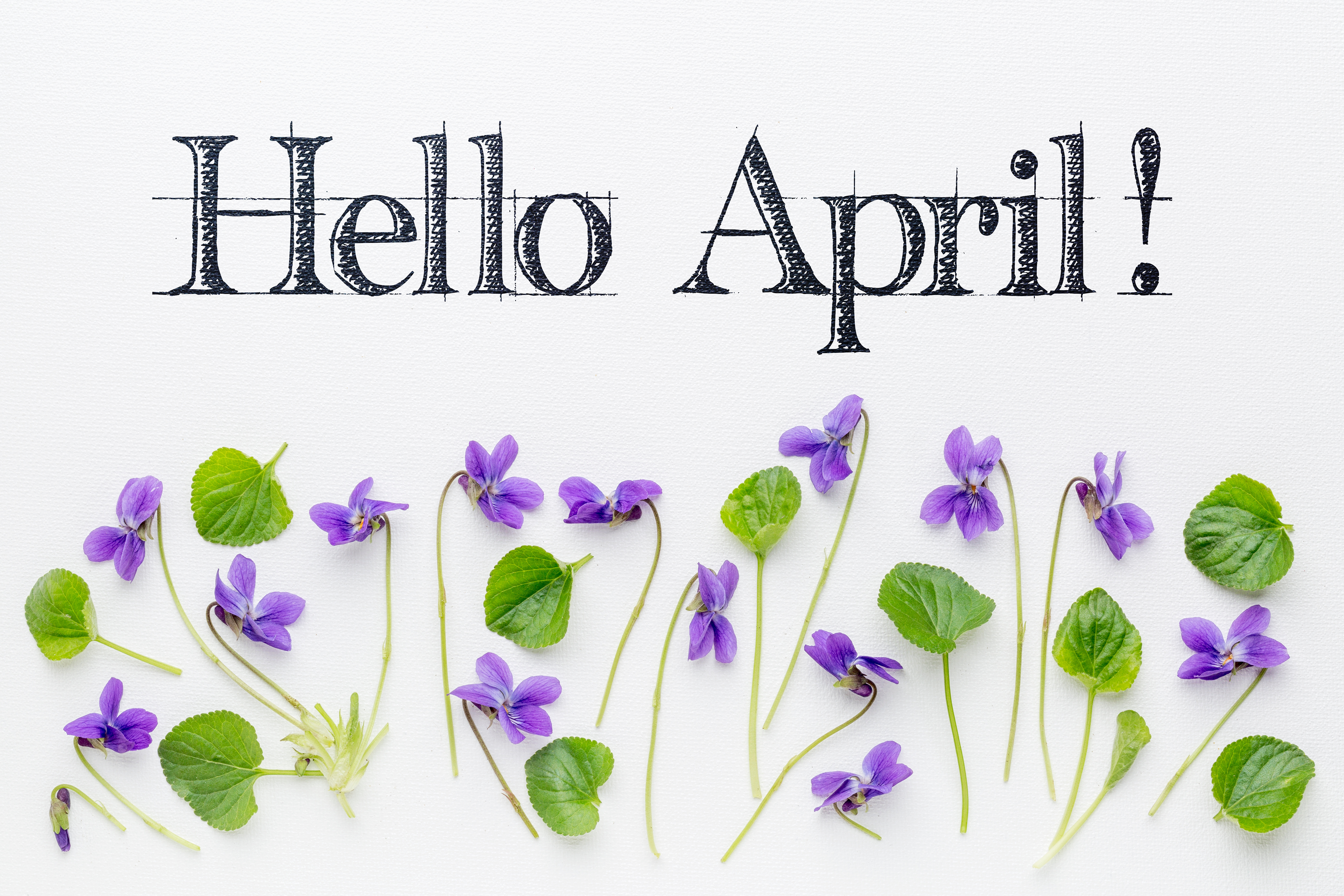Hello April