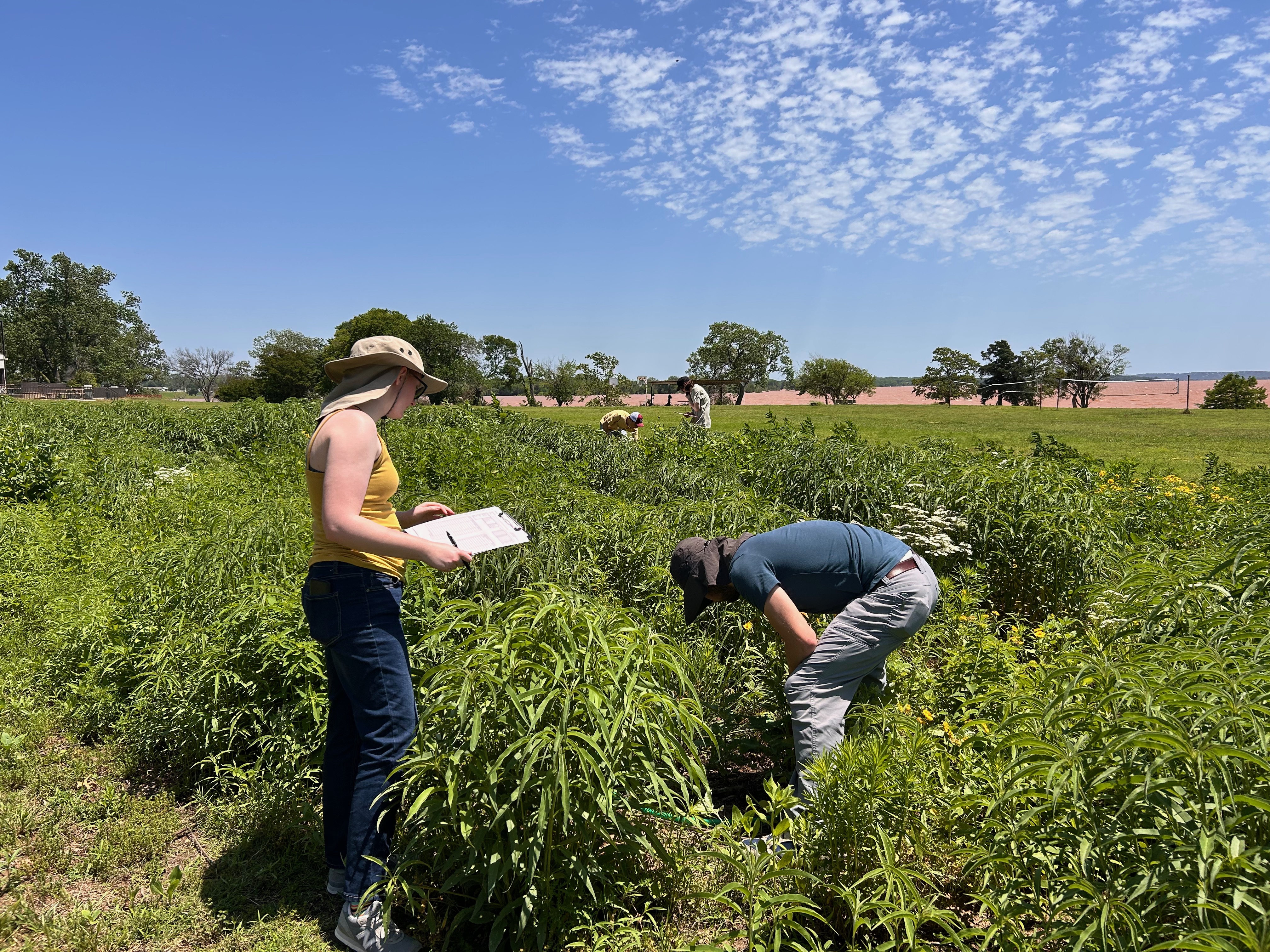 Student working and collecting data in the field. 