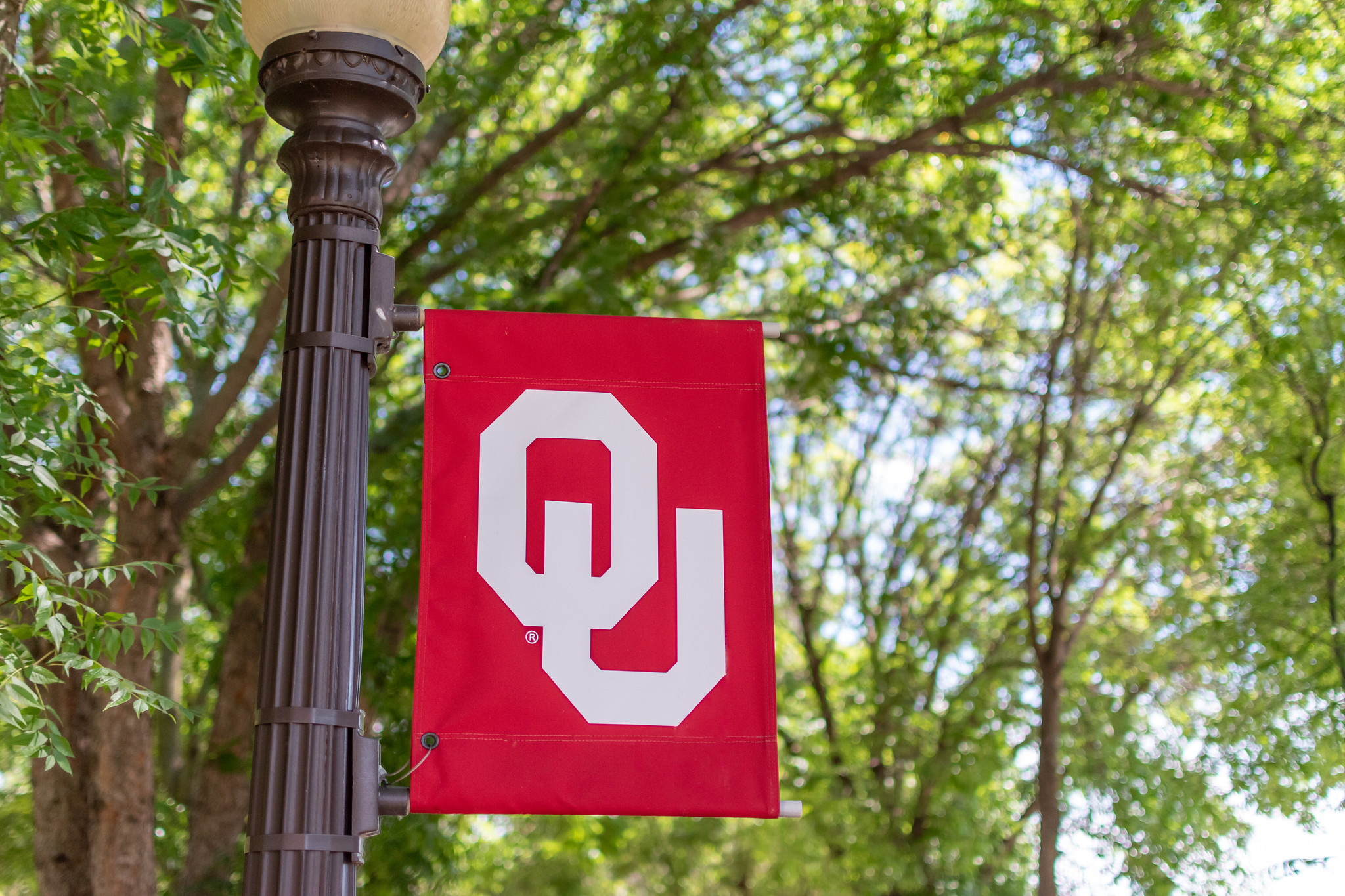 OU flag with trees in the background.