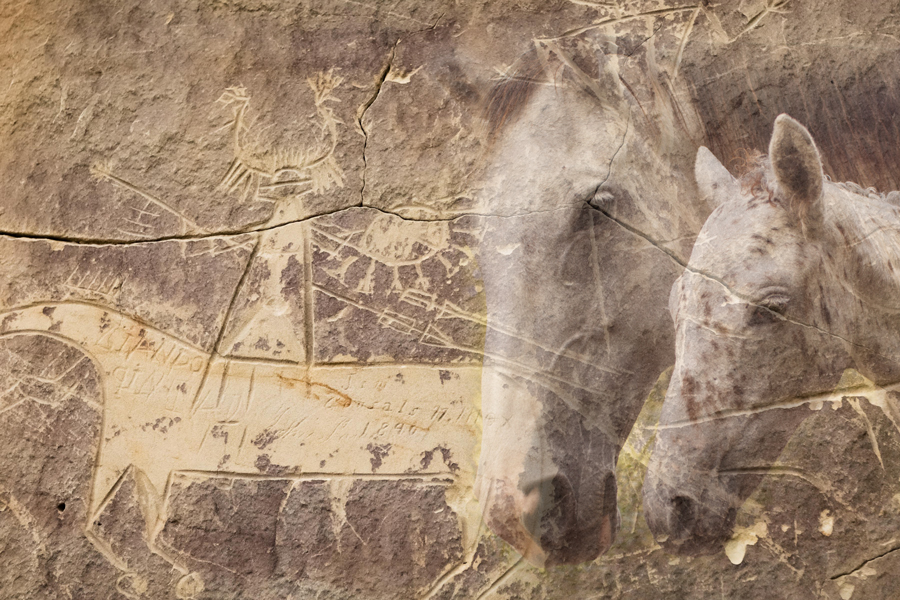 Horse and rider petroglyph at the Tolar site, located in Sweetwater County, Wyoming. This depiction was likely carved by ancestral Comanche or Shoshone people. Image credit: Pat Doak. 