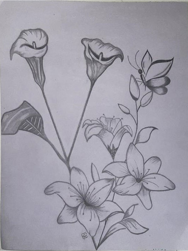 A black and white pencil drawing featuring lily flowers with a butterfly landing on a closed bloom.