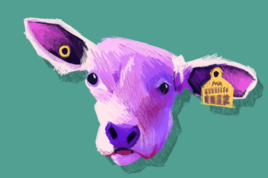 A pink and purple digital painting of a cow framed by a bright green background.