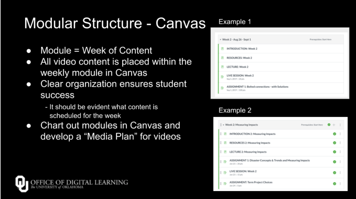 image showing modular structure in Canvas LMS