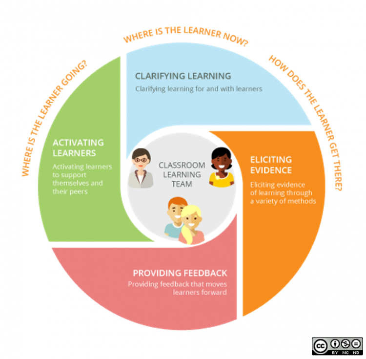 Kathy Dyer Feedback Model