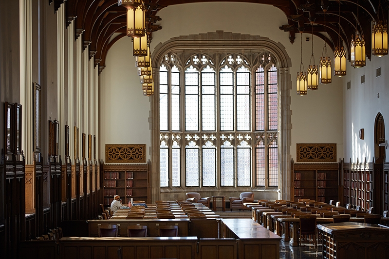 Student sitting in the Great Reading Room at Bizzell Library