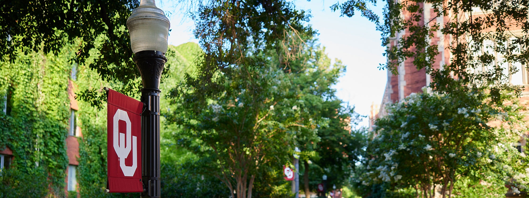 A lamppost with an OU flag in the foreground, surrounded by greenery and buildings in the background.