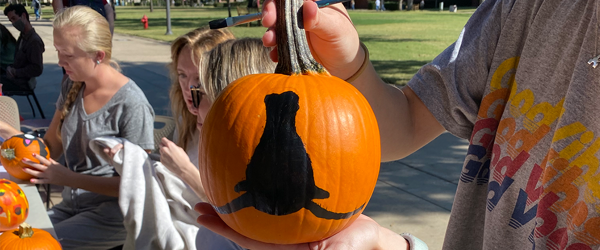 picture of a pumpkin with a black horns down logo painted on it