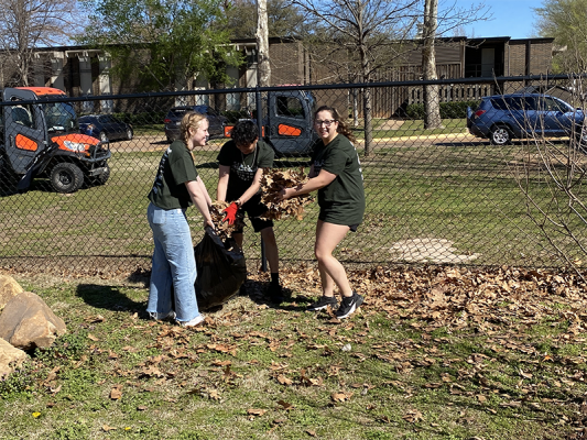 Three students outside holding a trash bag as they put leaves in it