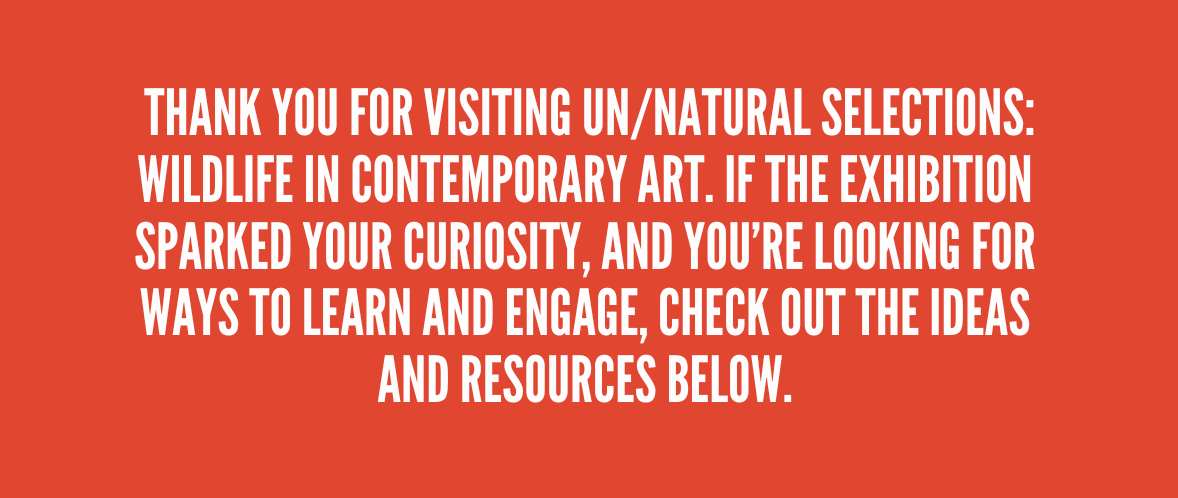  Thank you for visiting Un/Natural Selections: Wildlife in Contemporary Art. If the exhibition sparked your curiosity, and you’re looking for ways to learn and engage, check out the ideas and resources below.