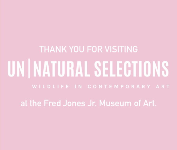 Thank you for visiting Un/natural selections Wildlife in Contemporary Art at the Fred Jones Jr. Museum of Art