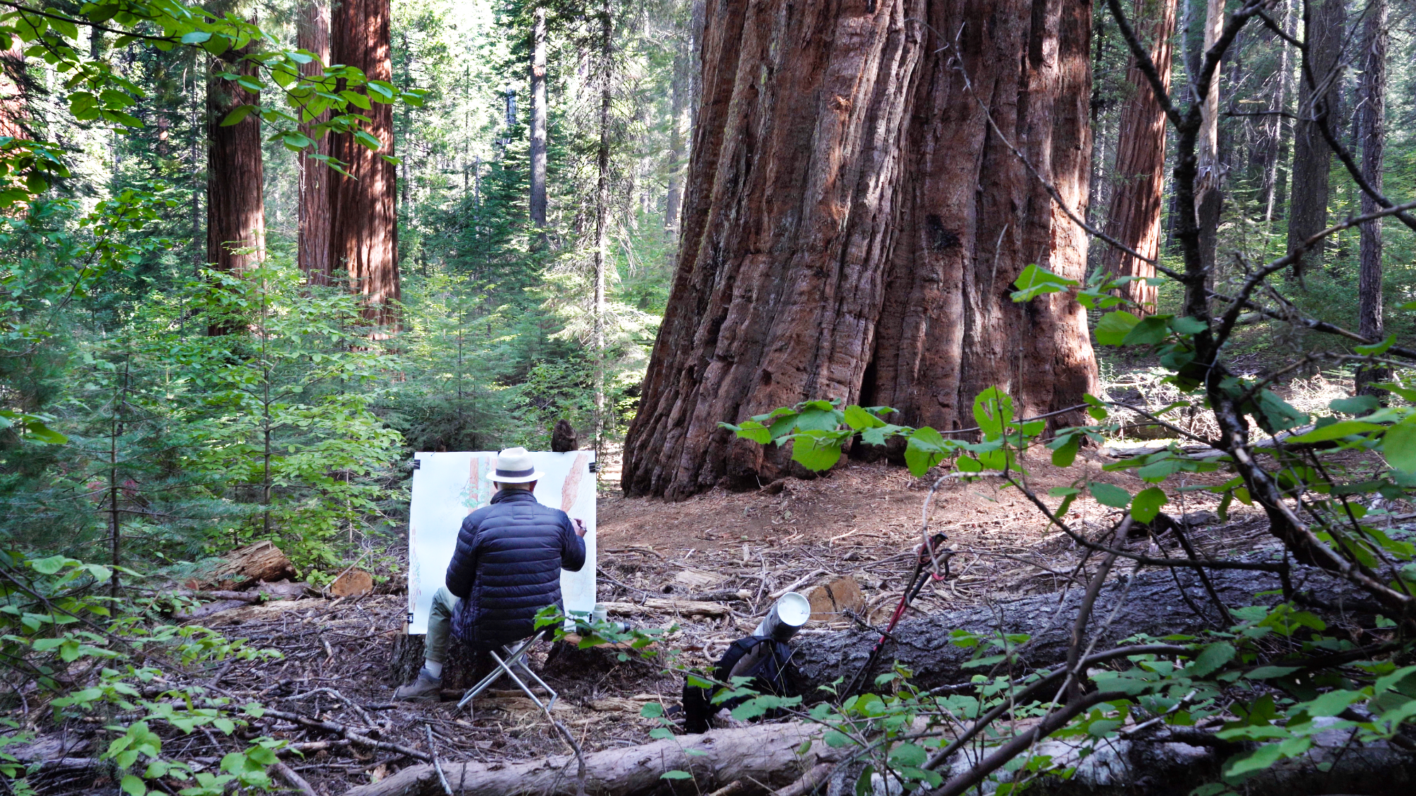 Tony Foster painting in a forest