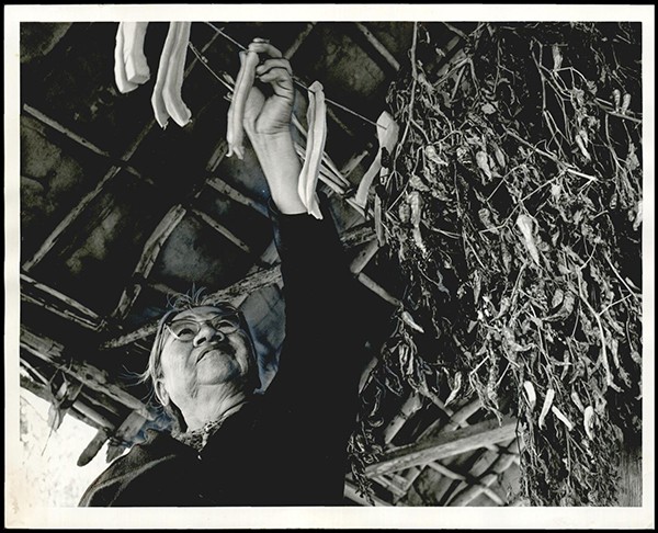 KICKAPOO INDIAN VILLAGE NEAR JONES: UNKNOWN: Caption reads, A Kickapoo woman hangs up strips of pumpkin to dry. Photographer UNKNOWN. Original Photo 12/07/1962. Published on O-2-17-63.