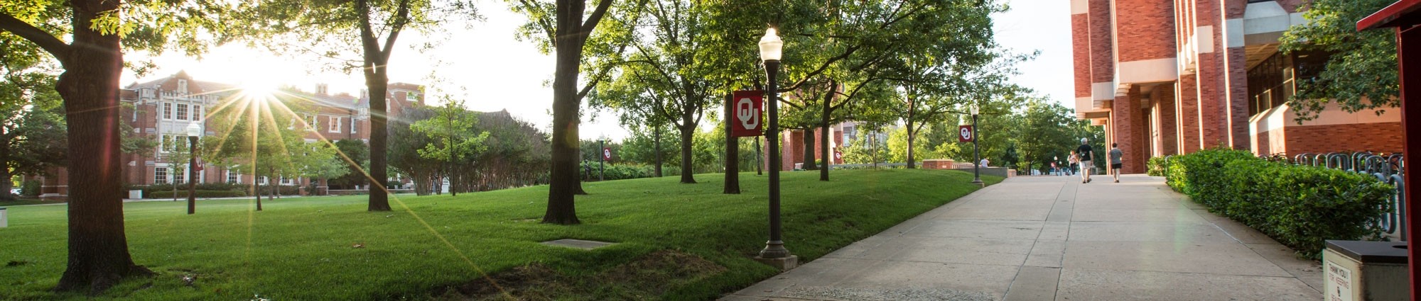 A view of the OU campus, with OU flags on lamp posts.