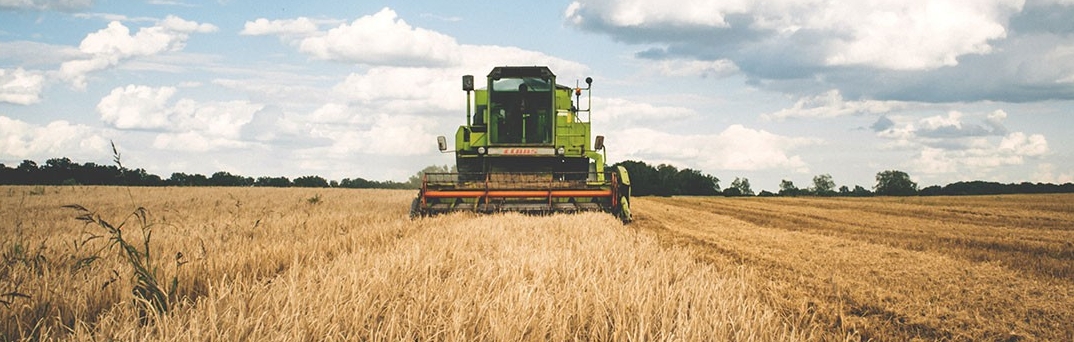 A photo of a plow in a field.