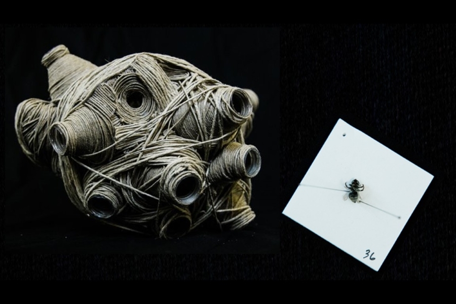 BEES heART by Jizelle Childers.