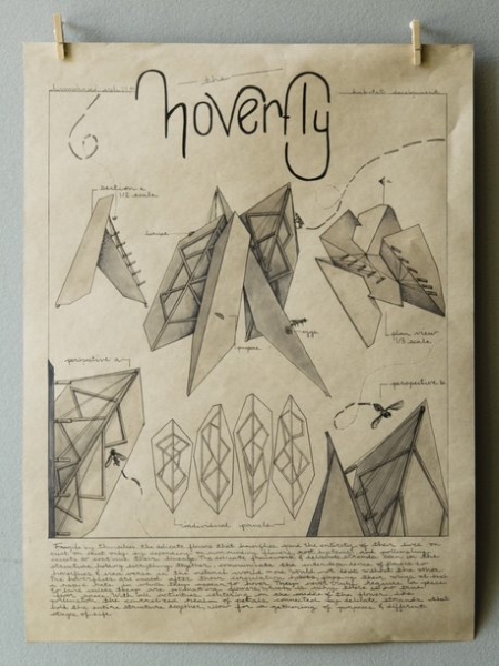 Drawing of “Cluster: The Hoverfly” dwelling by Hannah Reed.