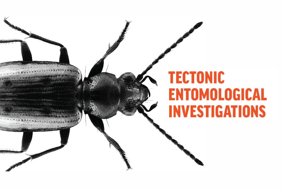 A digital header with a large beetle and the words "tectonic entomological investigations"