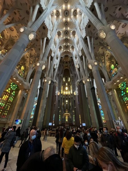 Picture of the interior of the Sagrada Familia in Barcelona.