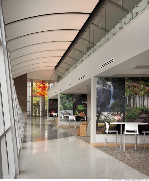 A hallway with biology-related photographs in study nooks.