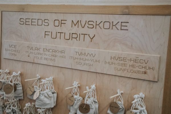 Packets of corn, pole bean, squash, and sunflower seeds in a display titled "Seeds of Mvskoke Futurity".