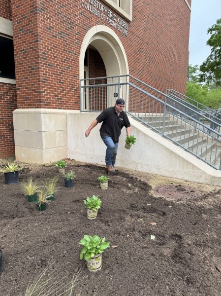 Justin Jones adding plants to the garden bed.