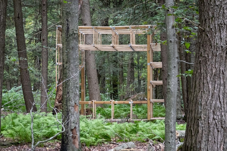 Wooden structure in the woods. 