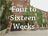 Four to Sixteen Weeks picture of Union with "Four weeks and beyond" text