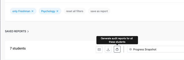 Image of the generate audit report icon which is located to the right of the download icon in the save reports section