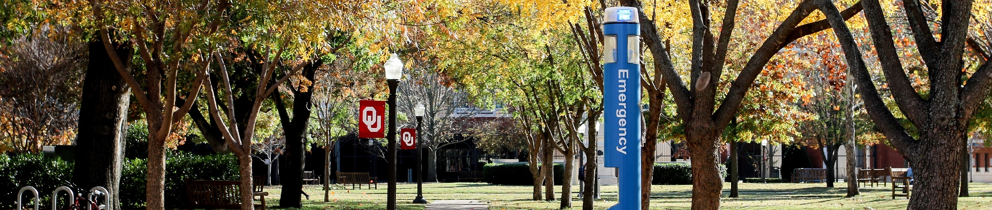 Exterior shot of campus in the fall with emergency blue pole in the foreground