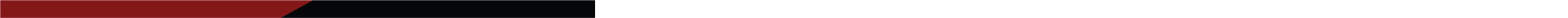 Stylized crimson and dark grey line.